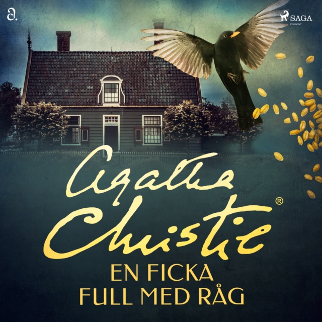 En ficka full med rag, eAudiobook MP3 eaudioBook