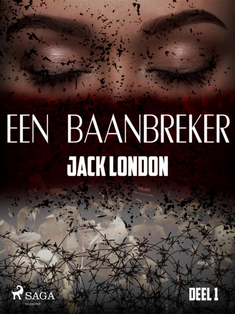 Een baanbreker - Deel 1, EPUB eBook