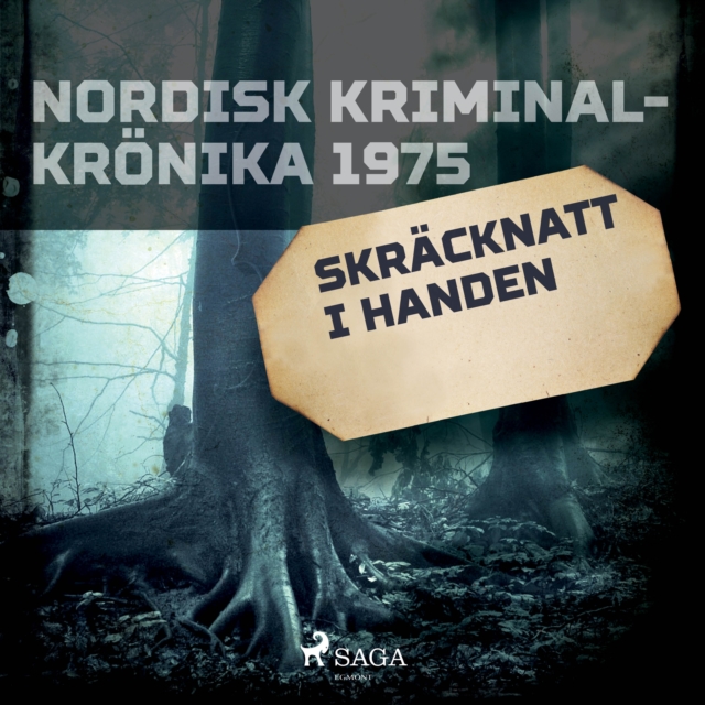 Skracknatt i Handen, eAudiobook MP3 eaudioBook