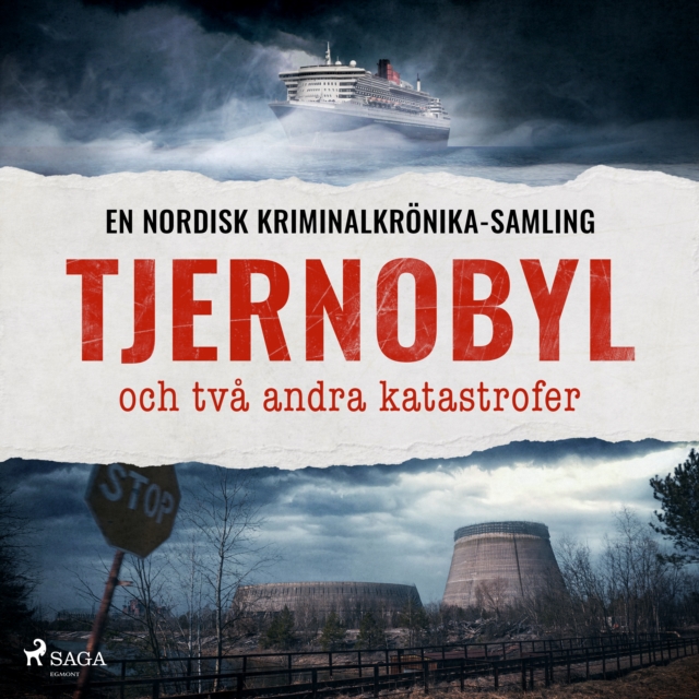 Tjernobyl och tva andra katastrofer, eAudiobook MP3 eaudioBook