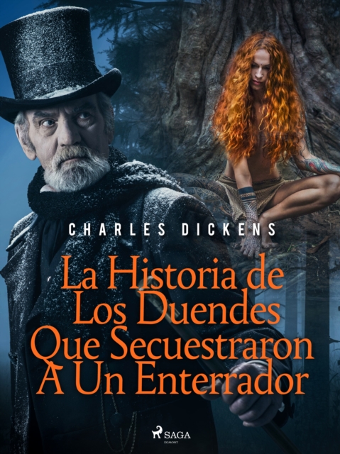 La Historia de Los Duendes Que Secuestraron A Un Enterrador, EPUB eBook