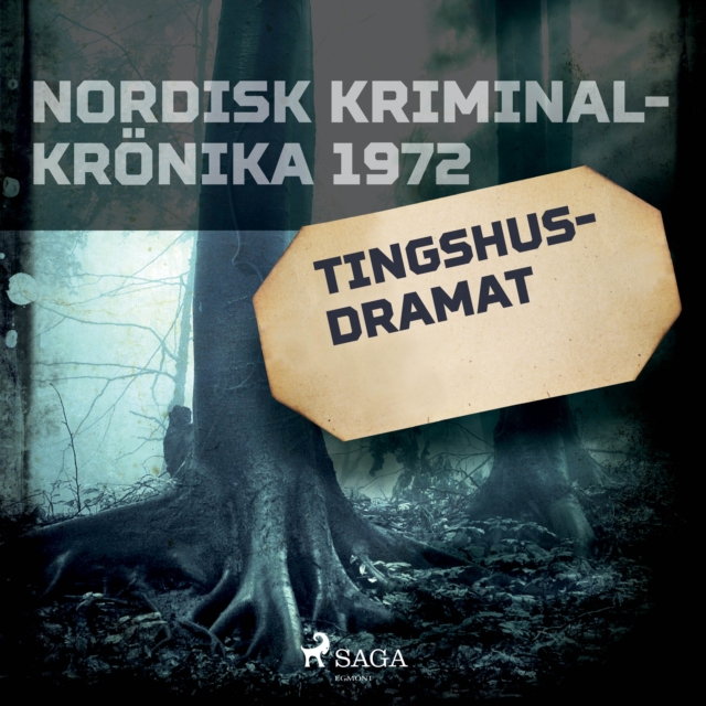 Tingshusdramat, eAudiobook MP3 eaudioBook