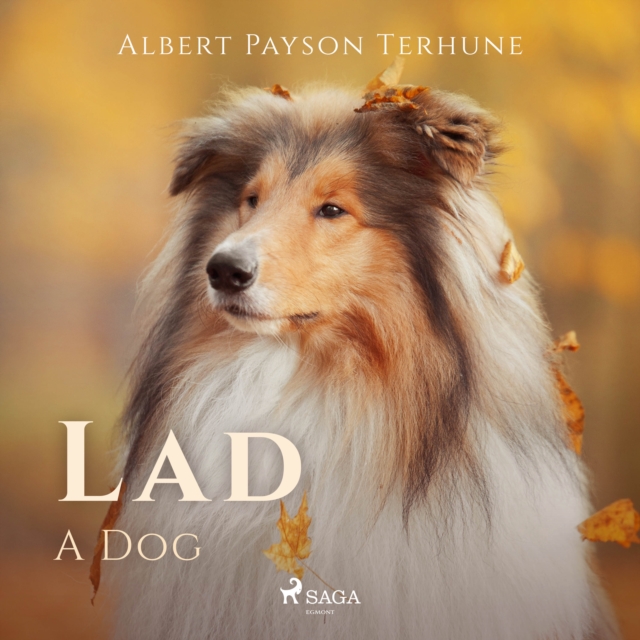Lad: A Dog, eAudiobook MP3 eaudioBook