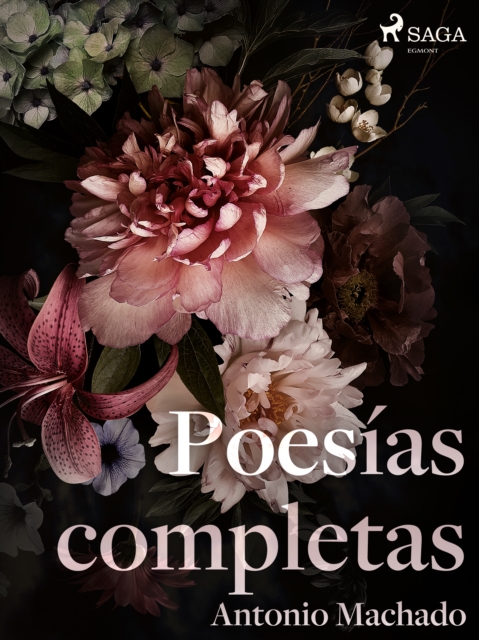 Poesias completas, EPUB eBook