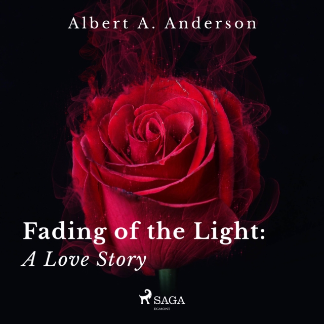 Fading of the Light: A Love Story, eAudiobook MP3 eaudioBook