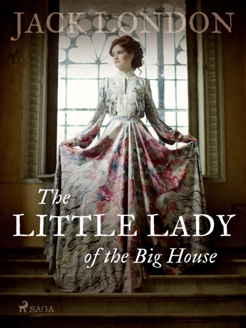 The Little Lady of the Big House, EPUB eBook