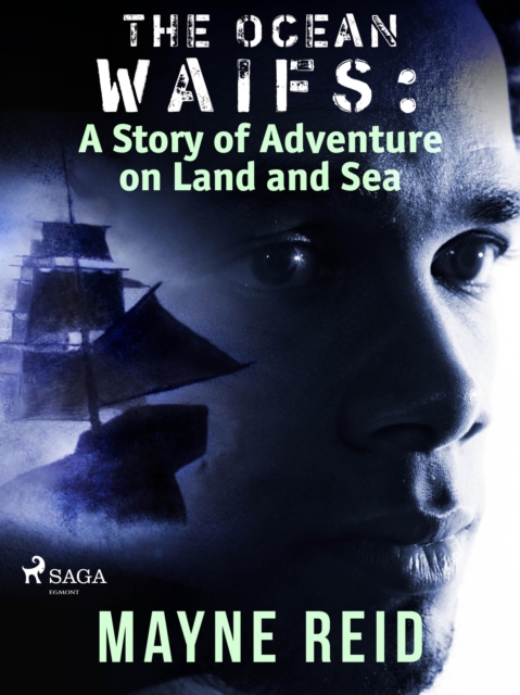 The Ocean Waifs: A Story of Adventure on Land and Sea, EPUB eBook