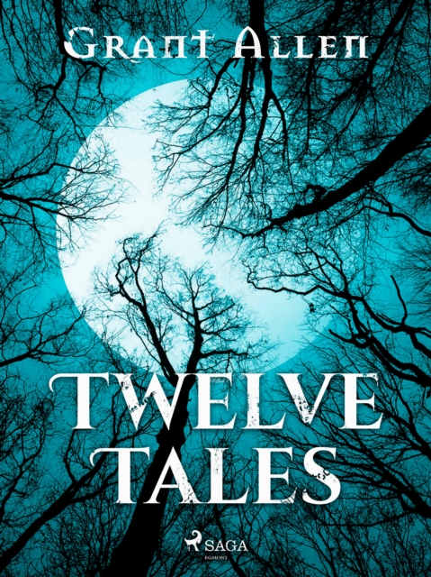 Twelve Tales, EPUB eBook