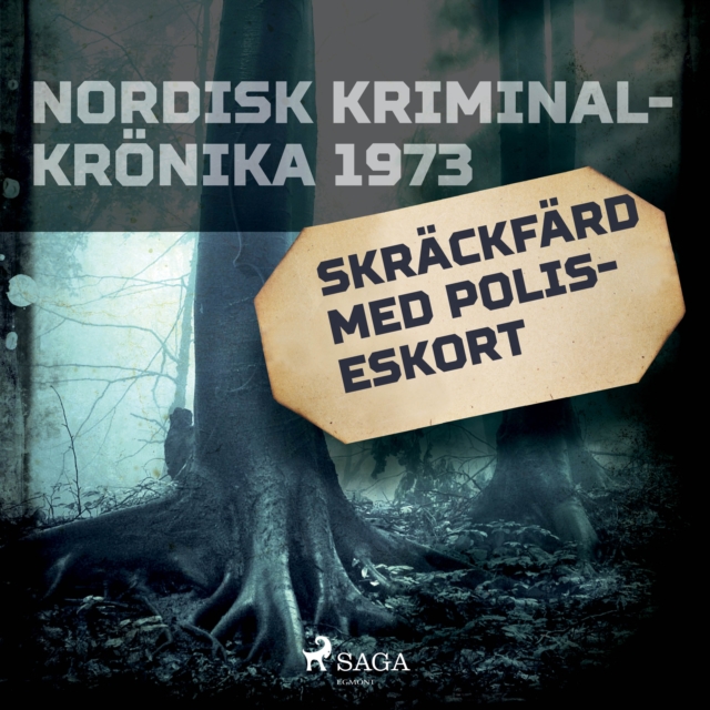 Skrackfard med poliseskort, eAudiobook MP3 eaudioBook