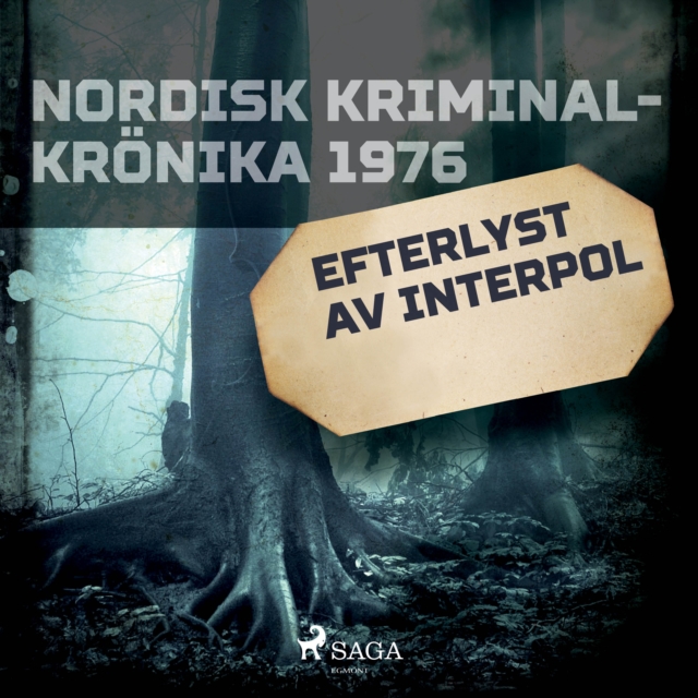 Efterlyst av Interpol, eAudiobook MP3 eaudioBook