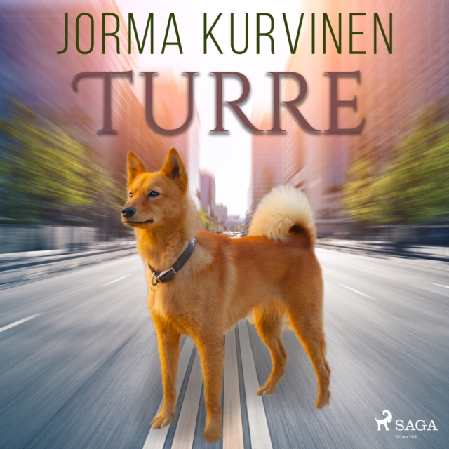 Turre, eAudiobook MP3 eaudioBook