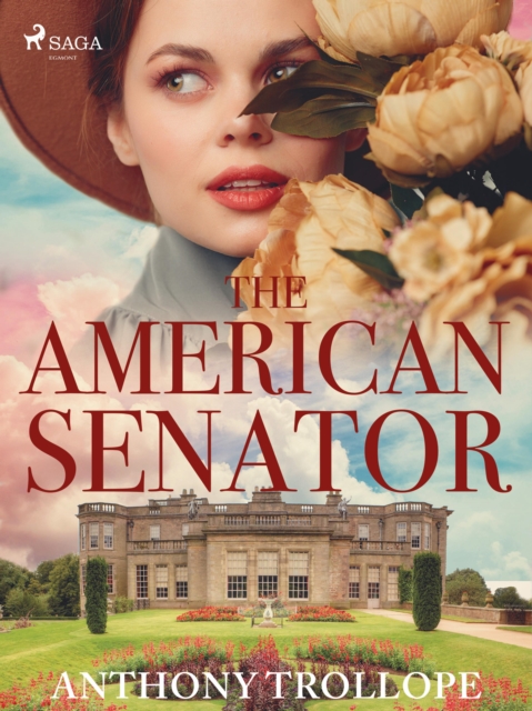 The American Senator, EPUB eBook