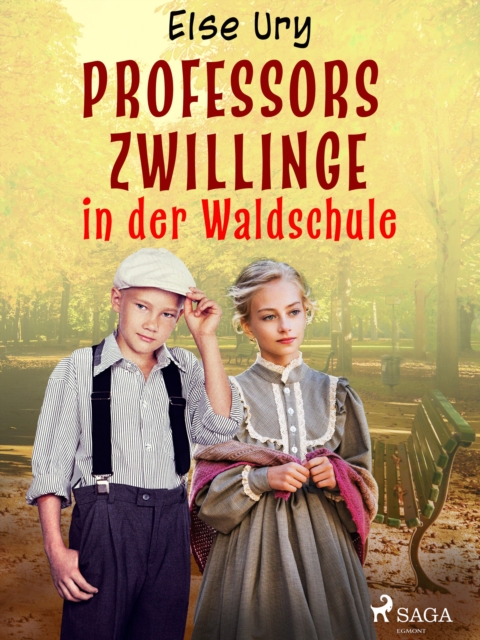 Professors Zwillinge in der Waldschule, EPUB eBook