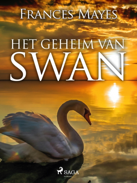 Het geheim van Swan, EPUB eBook