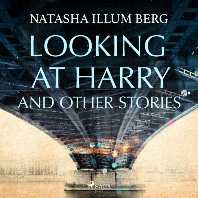 Looking at Harry and Other Stories, eAudiobook MP3 eaudioBook