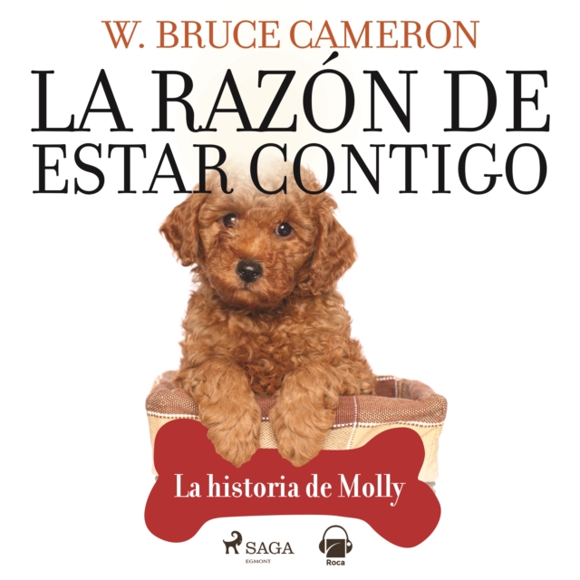 La razon de estar contigo. La historia de Molly, eAudiobook MP3 eaudioBook