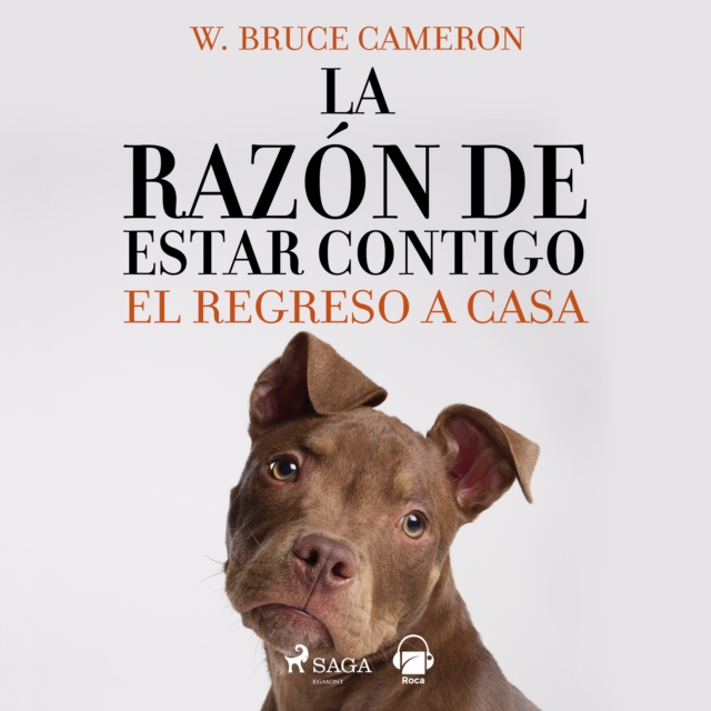 La razon de estar contigo. El regreso a casa, eAudiobook MP3 eaudioBook