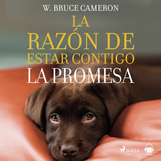 La razon de estar contigo. La promesa, eAudiobook MP3 eaudioBook