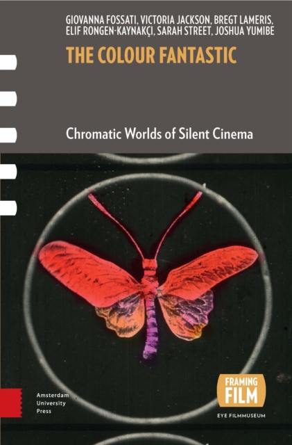The Colour Fantastic : Chromatic Worlds of Silent Cinema, PDF eBook