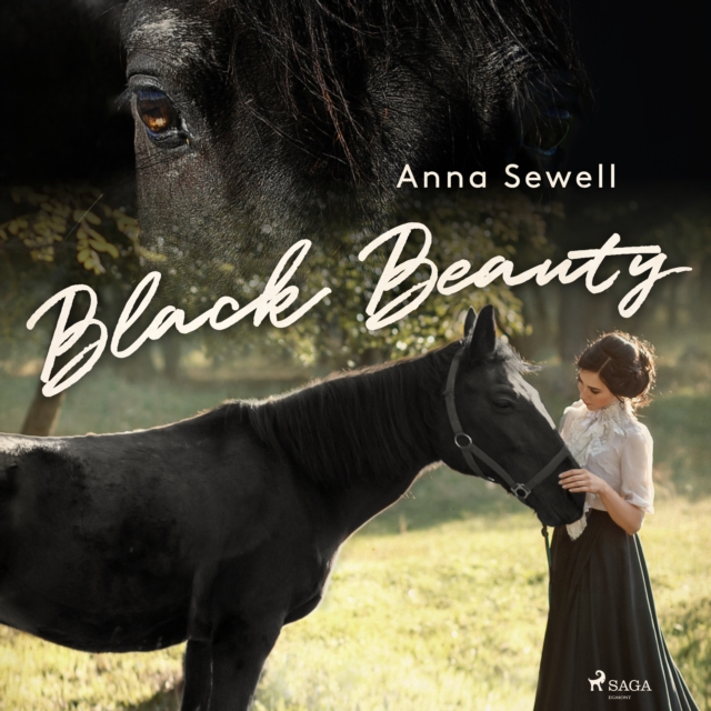 Black Beauty, eAudiobook MP3 eaudioBook