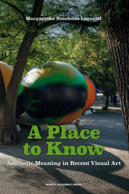 A Place to Know : Aesthetic Meaning in Recent Visual Art, EPUB eBook