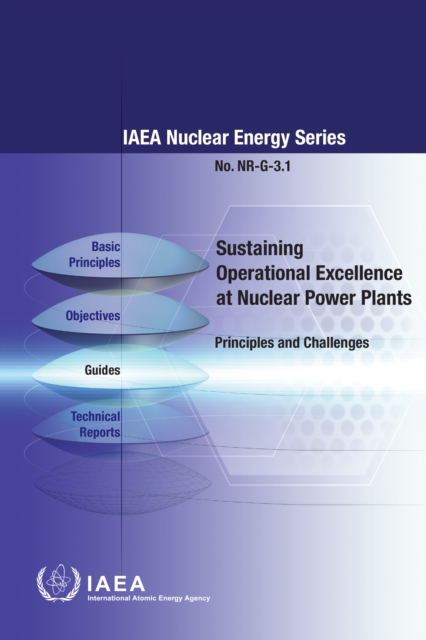 Sustaining Operational Excellence at Nuclear Power Plants, EPUB eBook