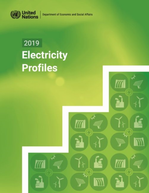 2019 electricity profiles, Paperback / softback Book