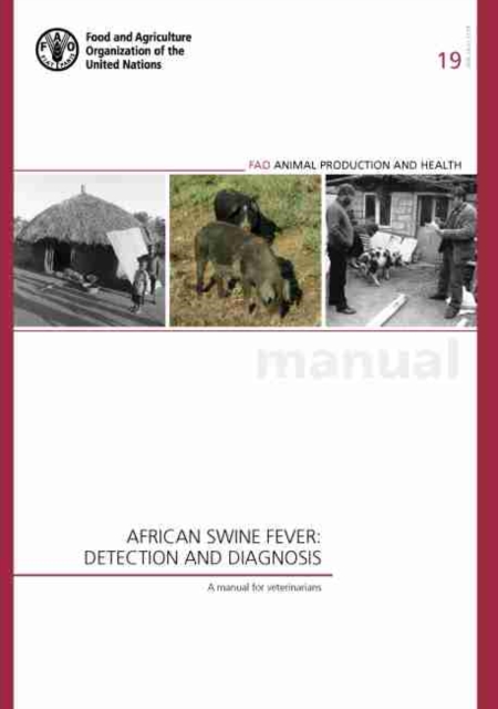 African swine fever : detection and diagnosis, a manual for veterinarians, Paperback / softback Book