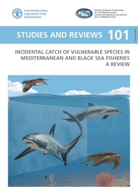 Incidental catch of vulnerable species in Mediterranean and Black Sea fisheries : a review, Paperback / softback Book