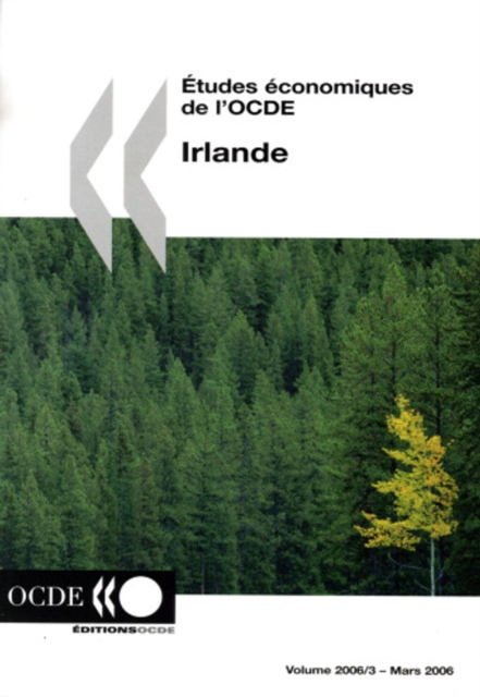 Etudes economiques de l'OCDE : Irlande 2006, PDF eBook
