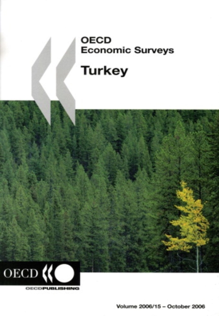 OECD Economic Surveys: Turkey 2006, PDF eBook