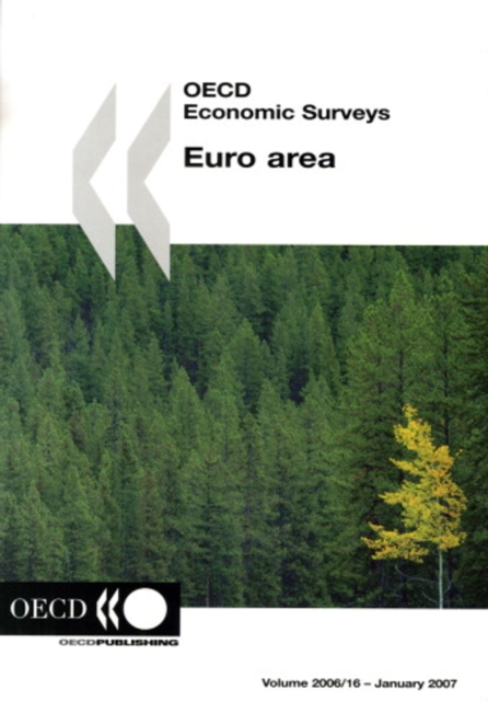OECD Economic Surveys: Euro Area 2006, PDF eBook
