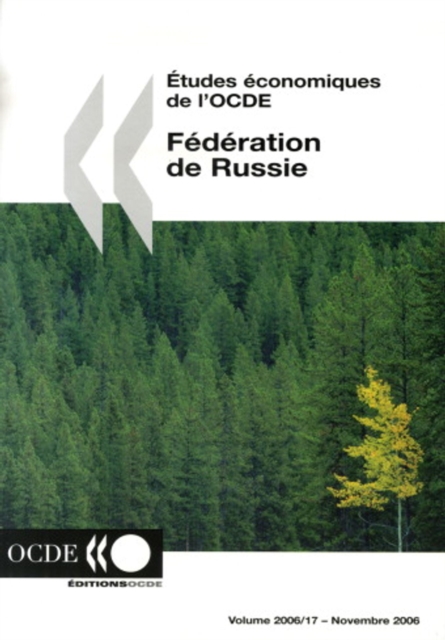 Etudes economiques de l'OCDE : Federation de Russie 2006, PDF eBook