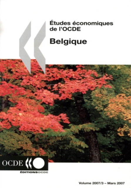 Etudes economiques de l'OCDE : Belgique 2007, PDF eBook