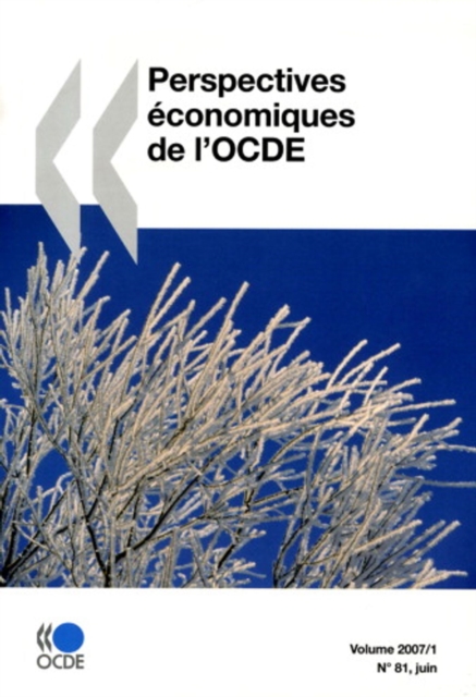 Perspectives economiques de l'OCDE, Volume 2007 Numero 1, PDF eBook