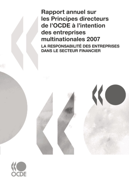 Rapport annuel sur les Principes directeurs de l'OCDE a l'intention des entreprises multinationales 2007 La responsabilite des entreprises dans le secteur financier, PDF eBook