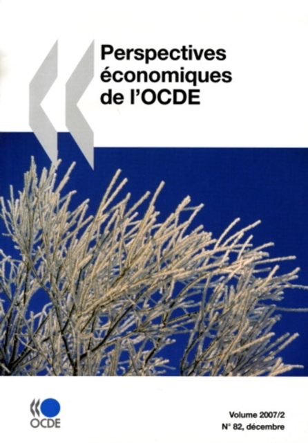 Perspectives economiques de l'OCDE, Volume 2007 Numero 2, PDF eBook