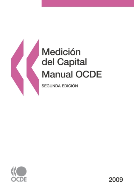 Medicion del capital - Manual OCDE 2009 Segunda edicion, PDF eBook