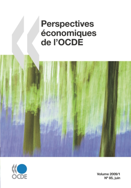 Perspectives economiques de l'OCDE, Volume 2009 Numero 1, PDF eBook