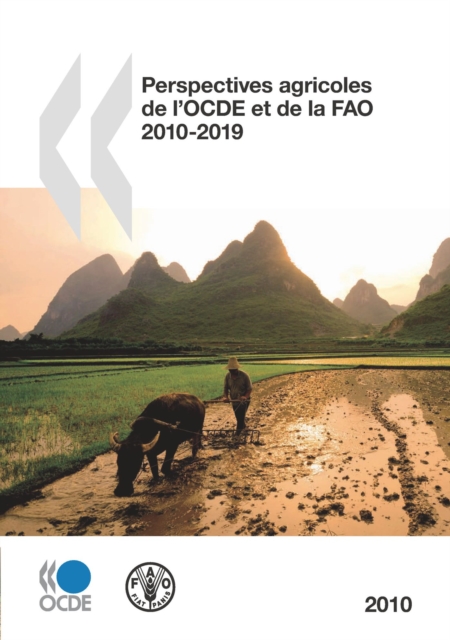 Perspectives agricoles de l'OCDE et de la FAO 2010, PDF eBook