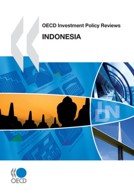 OECD Investment Policy Reviews: Indonesia 2010, PDF eBook