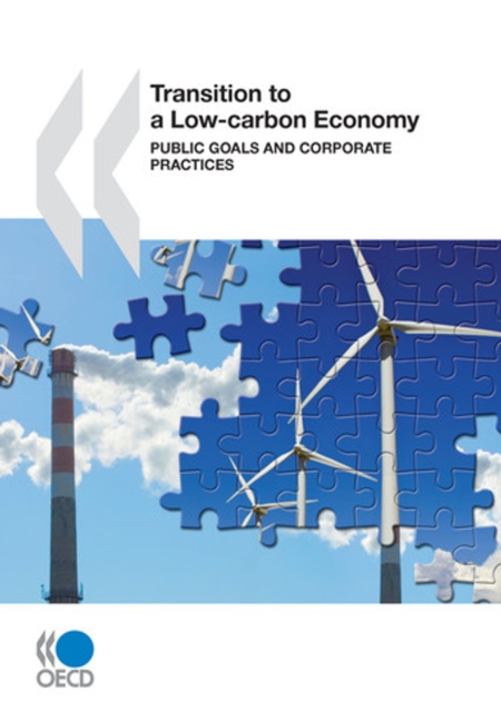 Transition to a Low-Carbon Economy Public Goals and Corporate Practices, PDF eBook