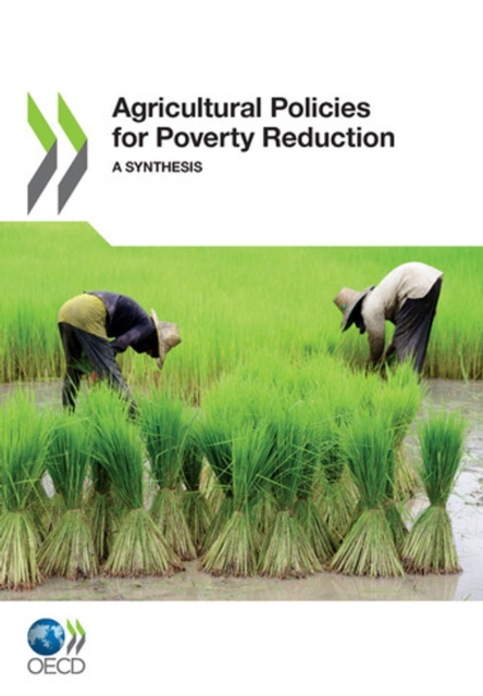Agricultural Policies for Poverty Reduction A Synthesis, PDF eBook