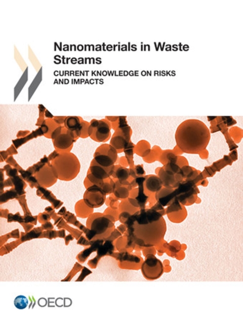 Nanomaterials in Waste Streams Current Knowledge on Risks and Impacts, PDF eBook