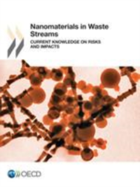 Nanomaterials in Waste Streams Current Knowledge on Risks and Impacts, EPUB eBook
