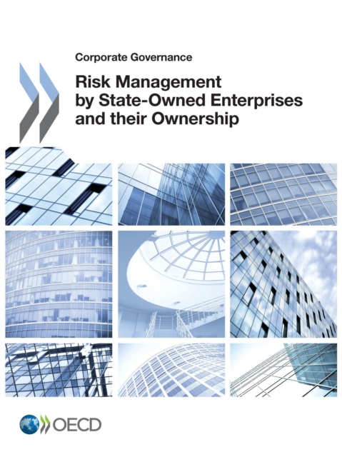 Corporate Governance Risk Management by State-Owned Enterprises and their Ownership, PDF eBook