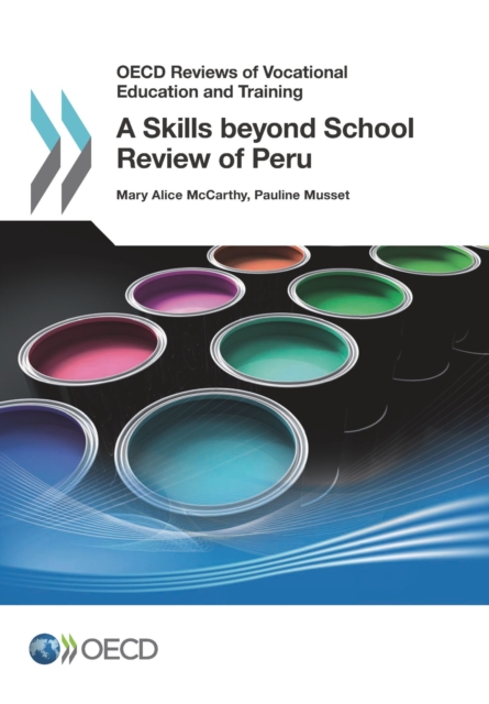 OECD Reviews of Vocational Education and Training A Skills beyond School Review of Peru, PDF eBook