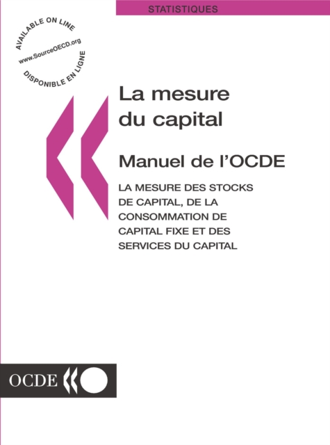 La Mesure du Capital -- Manuel de l'OCDE La mesure des stocks de capital, de la consommation de capital fixe et des services du capital, PDF eBook