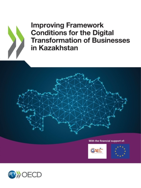 Improving Framework Conditions for the Digital Transformation of Businesses in Kazakhstan, PDF eBook