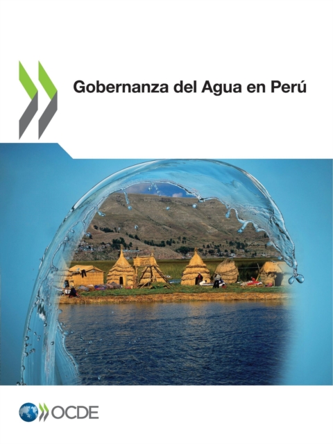 Gobernanza del Agua en Peru, PDF eBook